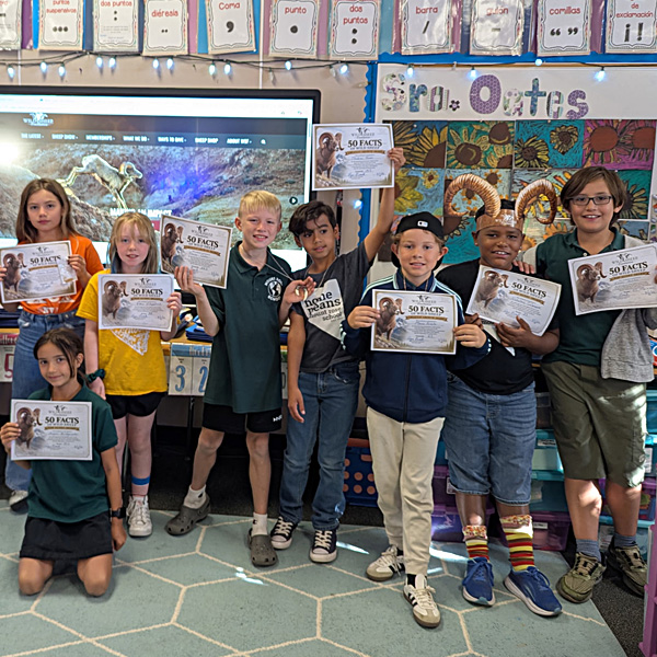 Students in a classroom with their 50 Facts about Sheep certificate